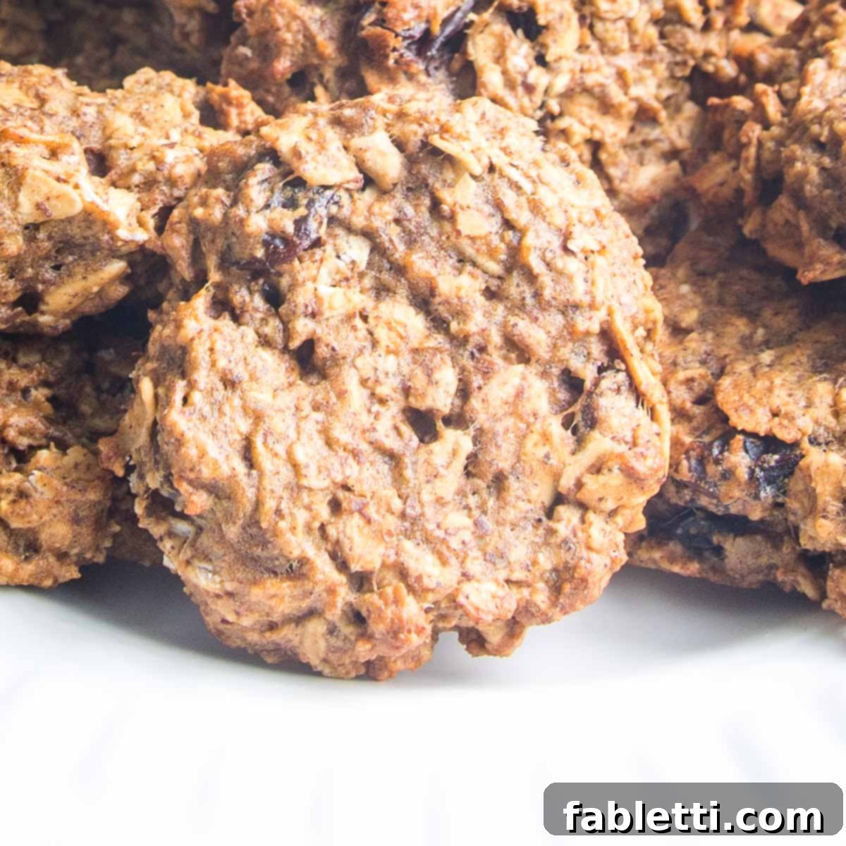 Speedy 15-Minute Oatmeal Raisin Delights 1 featured 8359