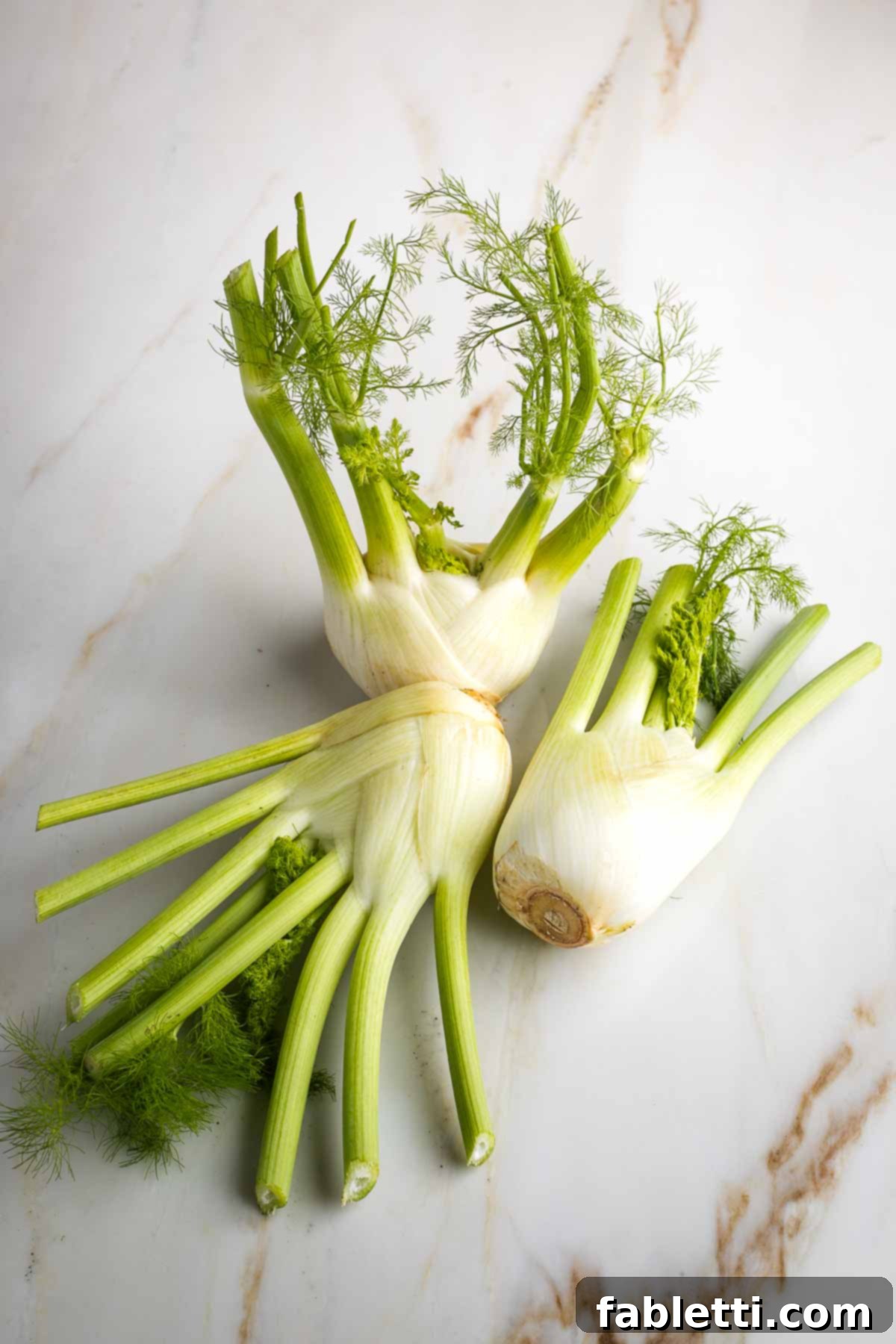 Three large, fresh fennel bulbs, displaying their vibrant white bulbs, green stalks, and delicate fronds, ready for preparation.