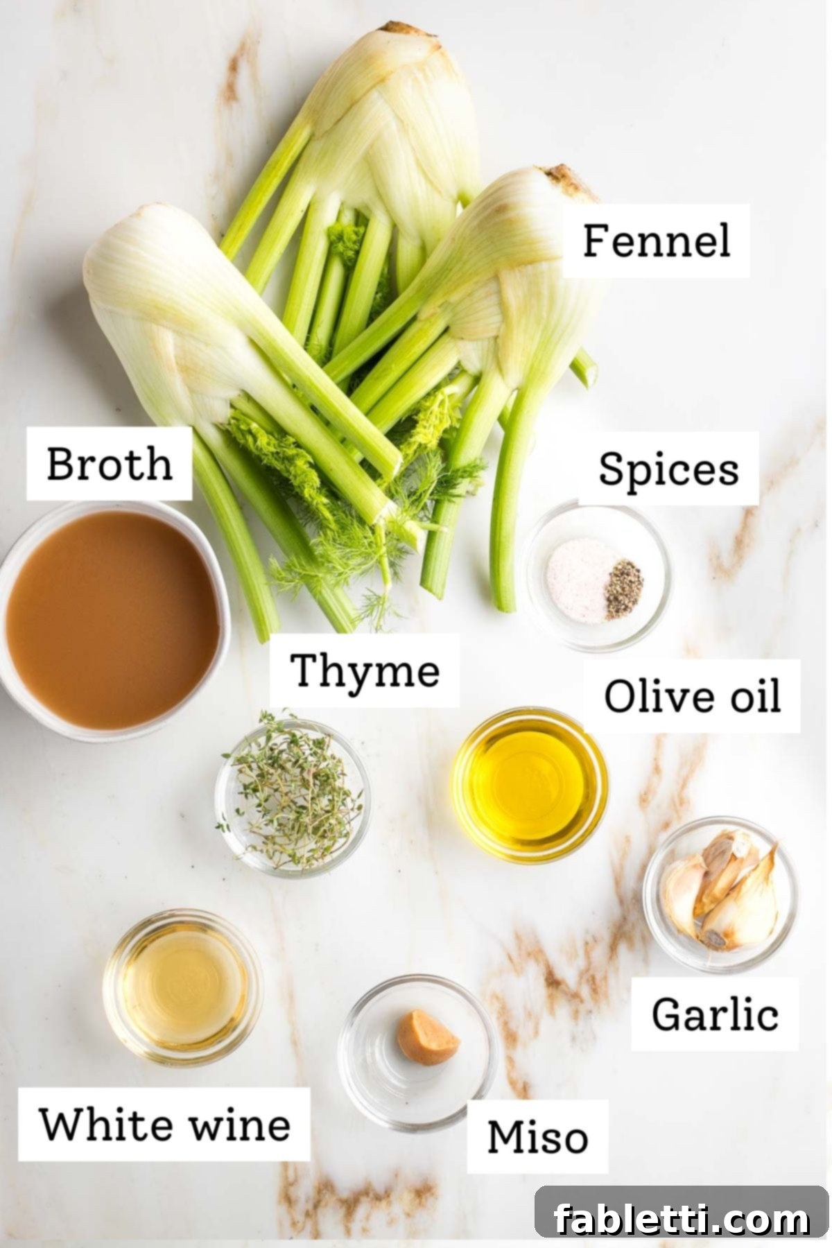 Labeled ingredients for braised fennel: fresh fennel bulbs, rich vegetable broth, aromatic thyme sprigs, crisp white wine, golden olive oil, savory miso paste, and pungent garlic cloves.