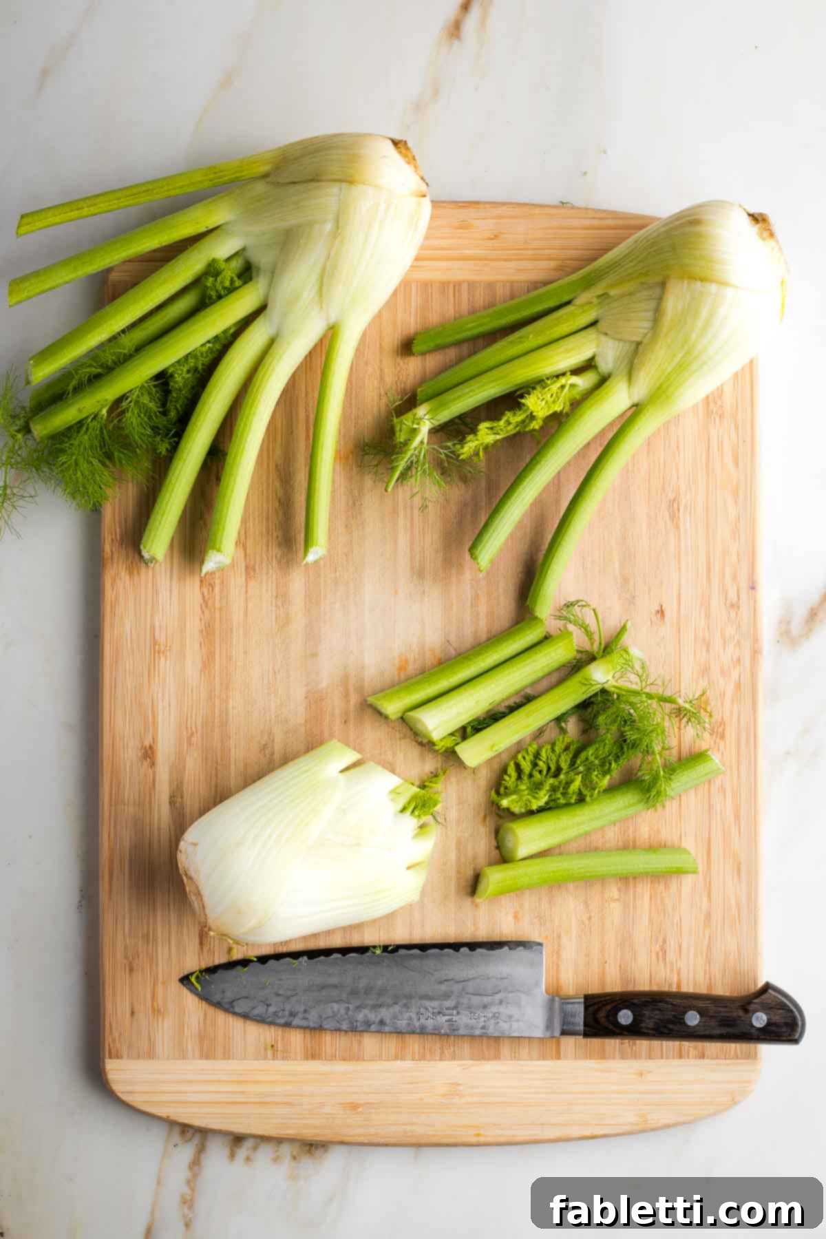 A fennel bulb with its green stalks and delicate fronds neatly trimmed, revealing the pristine white bulb.