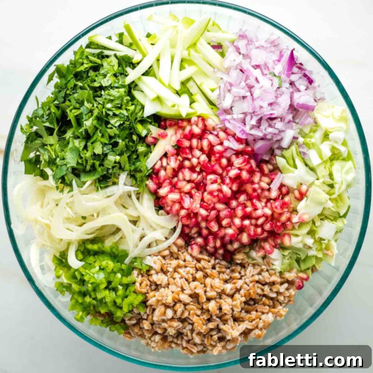 Vibrant Apple Fennel Farro Salad with Pomegranate Gems 13 A large mixing bowl displays colorful sections of prepared salad ingredients: bright pomegranate seeds, fresh parsley, chopped apple and cabbage, thinly sliced fennel, diced red onion, and fluffy cooked farro, all arranged for mixing.