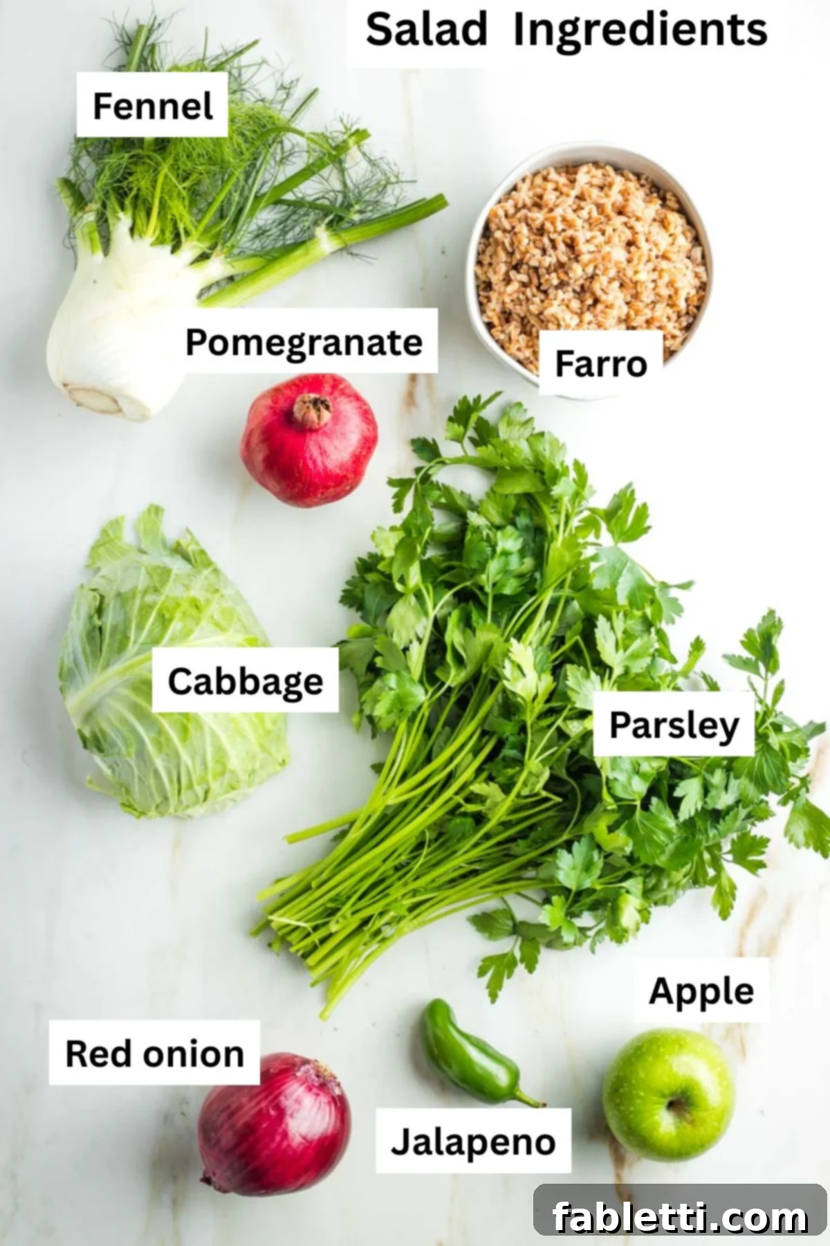 Vibrant Apple Fennel Farro Salad with Pomegranate Gems 3 Labeled ingredients for the salad: fresh fennel bulb, cooked farro, vibrant pomegranate arils, crisp green cabbage, fresh parsley, thinly sliced red onion, a sliced jalapeno, and a Granny Smith apple.