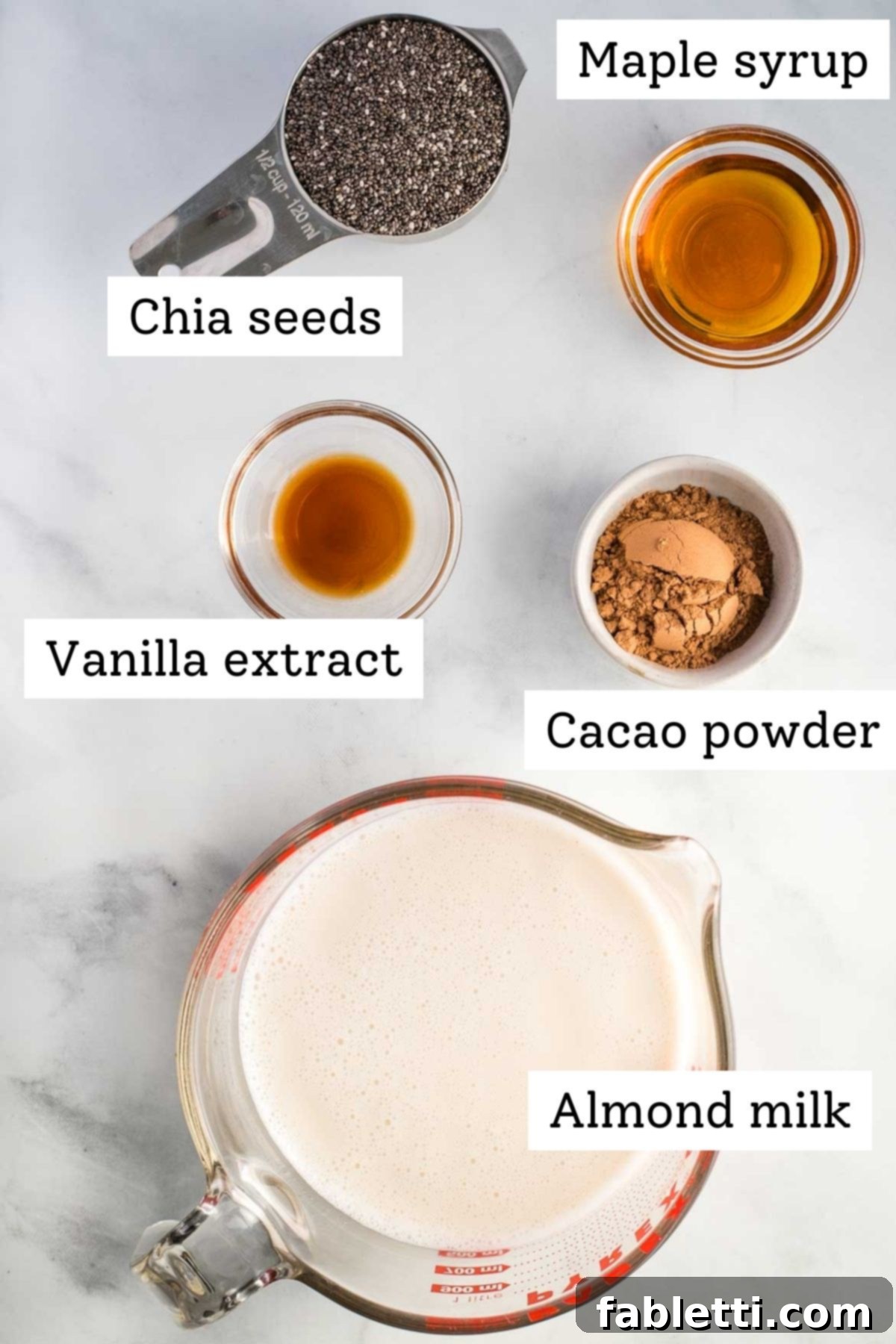 Effortless Chocolate Chia Pudding Bliss 4 Labeled ingredients: chia seeds, maple syrup, vanilla extract, cacao powder, almond milk.