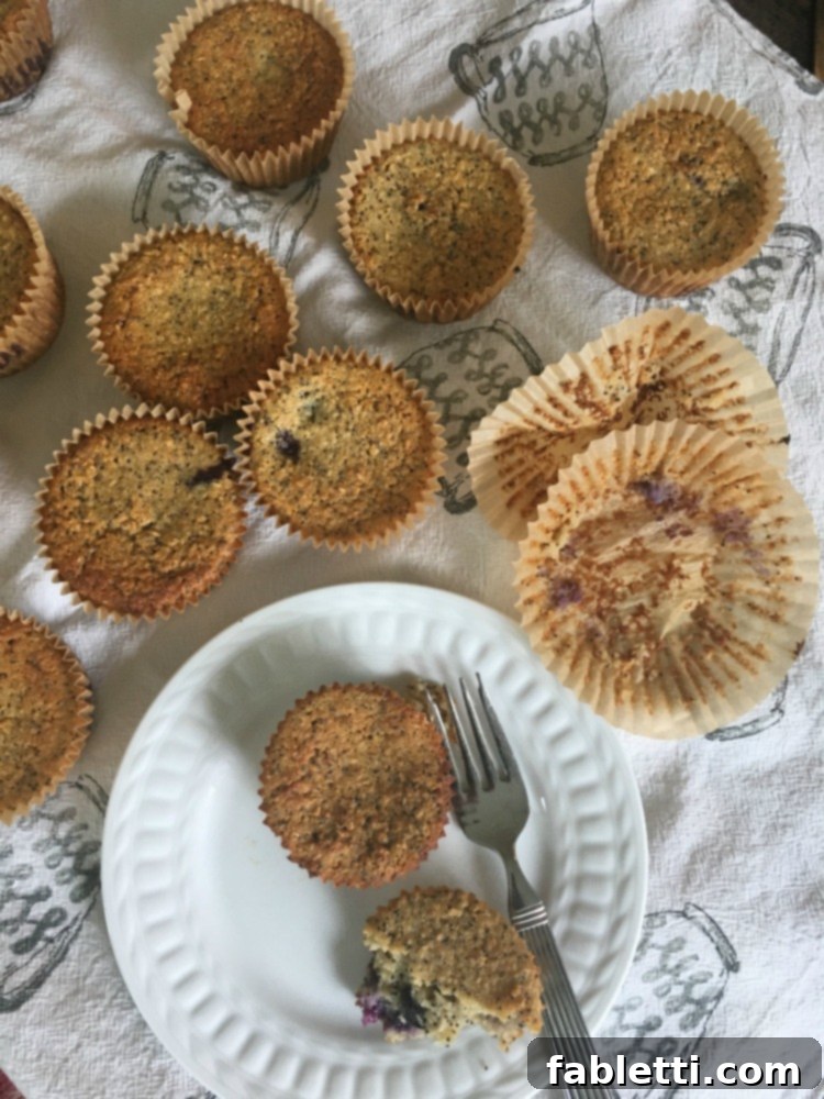 Bright Gluten-Free Blueberry Lemon Poppy Seed Muffins 3 Gluten-free and vegan lemon poppyseed muffins, freshly baked and golden brown.