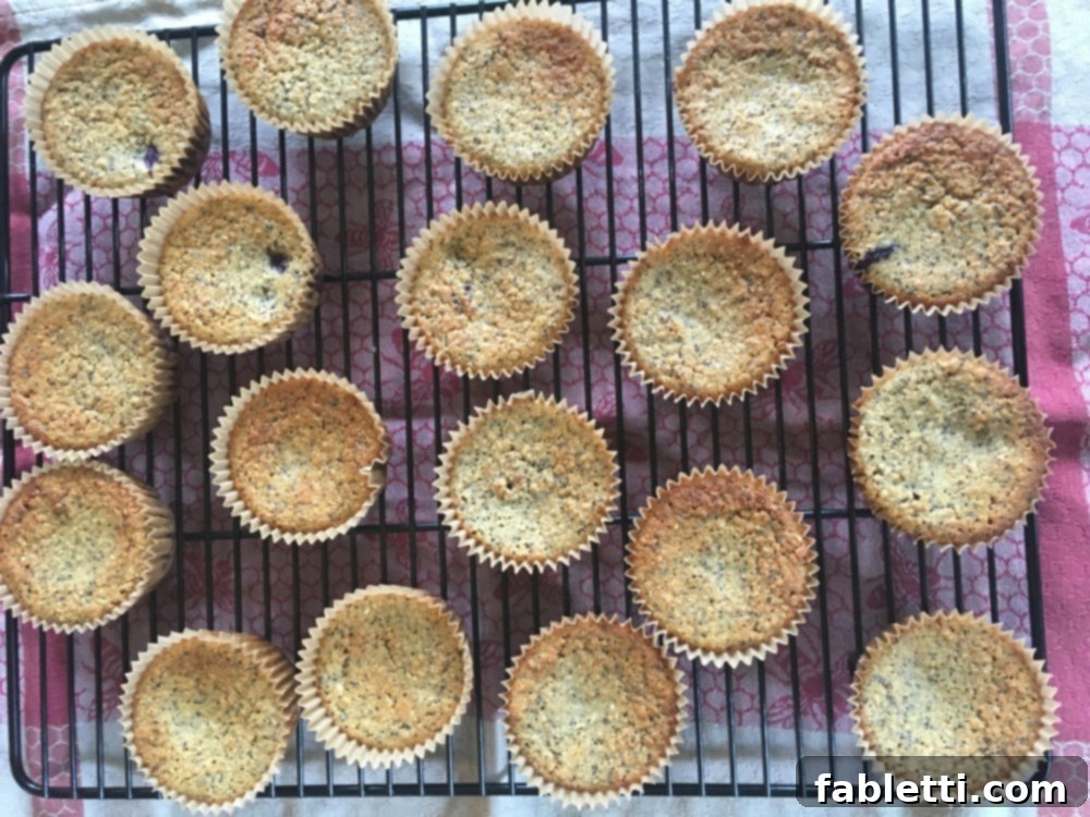 Bright Gluten-Free Blueberry Lemon Poppy Seed Muffins 5 A selection of warm, gluten-free, healthy muffins fresh from the oven, cooling on a wire rack.