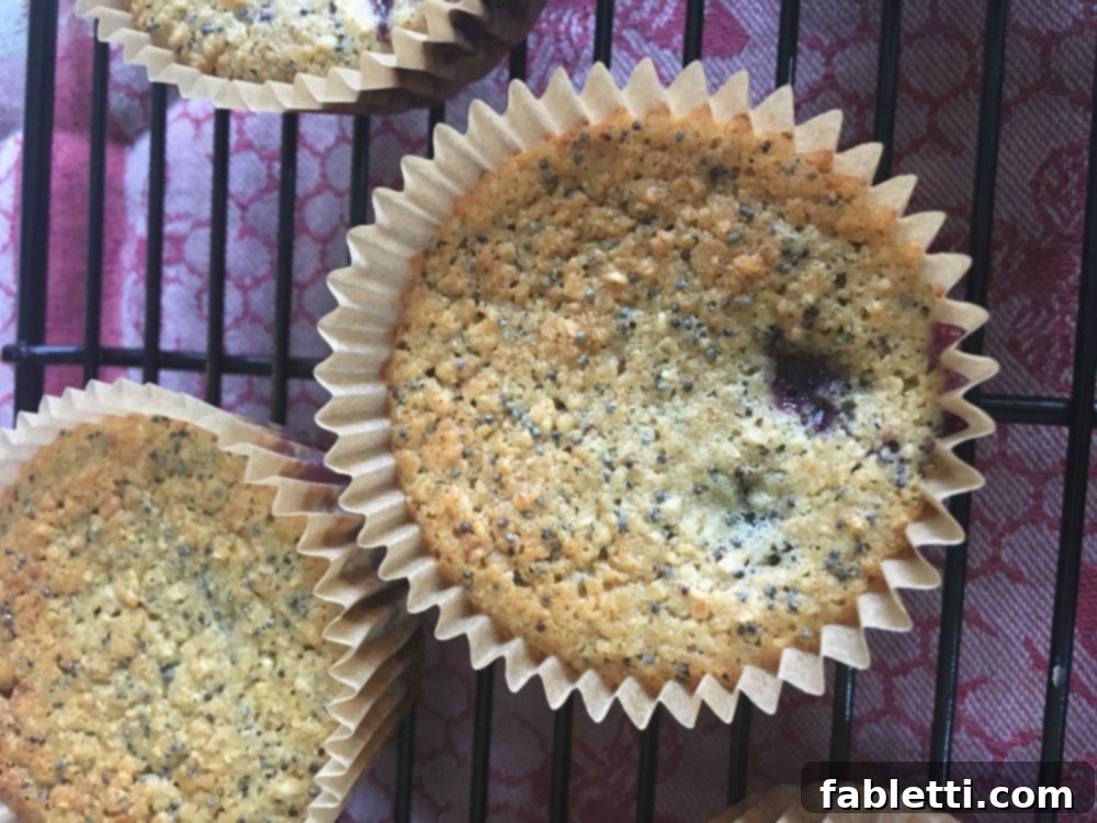 Bright Gluten-Free Blueberry Lemon Poppy Seed Muffins 6 Gluten-free lemon poppyseed blueberry muffins, showing their moist texture and scattered blueberries.