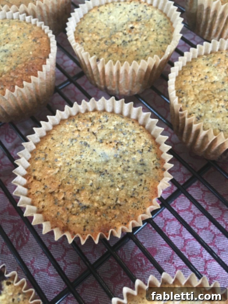 Bright Gluten-Free Blueberry Lemon Poppy Seed Muffins 7 A pile of delicious, healthy, gluten-free, and vegan muffins on a white plate, ready to be enjoyed.