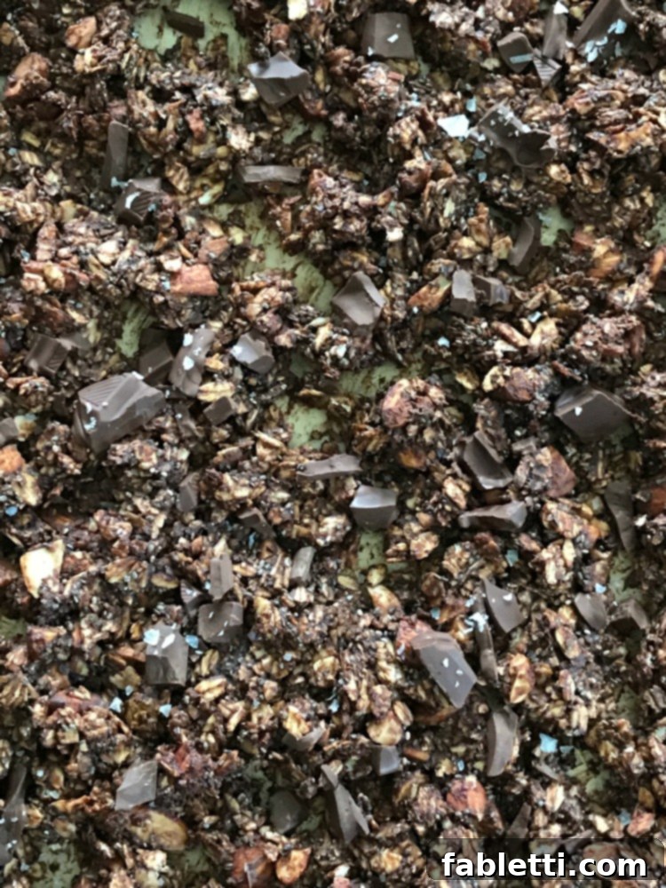 Nourishing Chocolate Oat Granola 2 Chocolate granola with large chunks of dark chocolate.