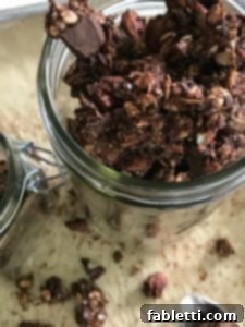 Nourishing Chocolate Oat Granola 10 Healthy Chocolate Granola. Refined sugarfree.