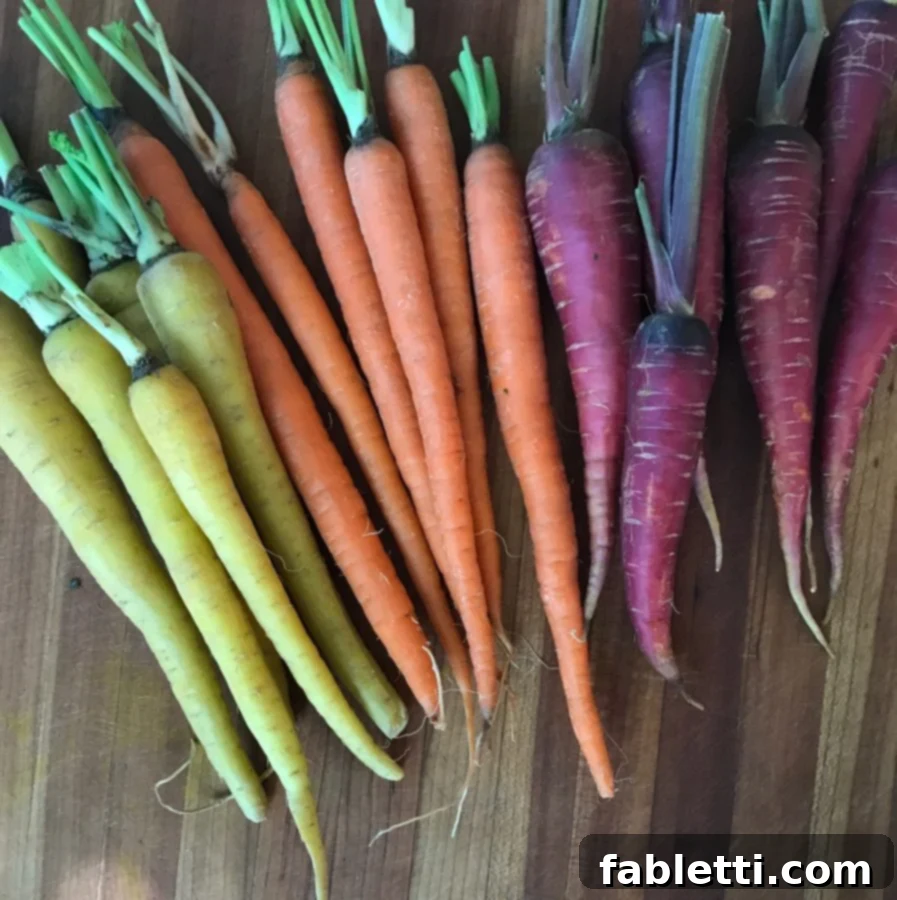 Aromatic Roasted Fennel and Carrot Salad 2 Vibrant Roasted Rainbow Carrot and Fennel Salad on a white plate