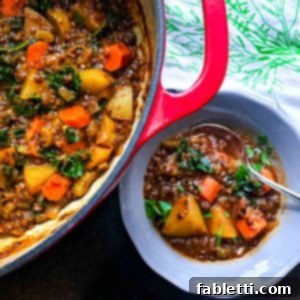 Rich brown stew with lentils, potatoes, carrots and kale.