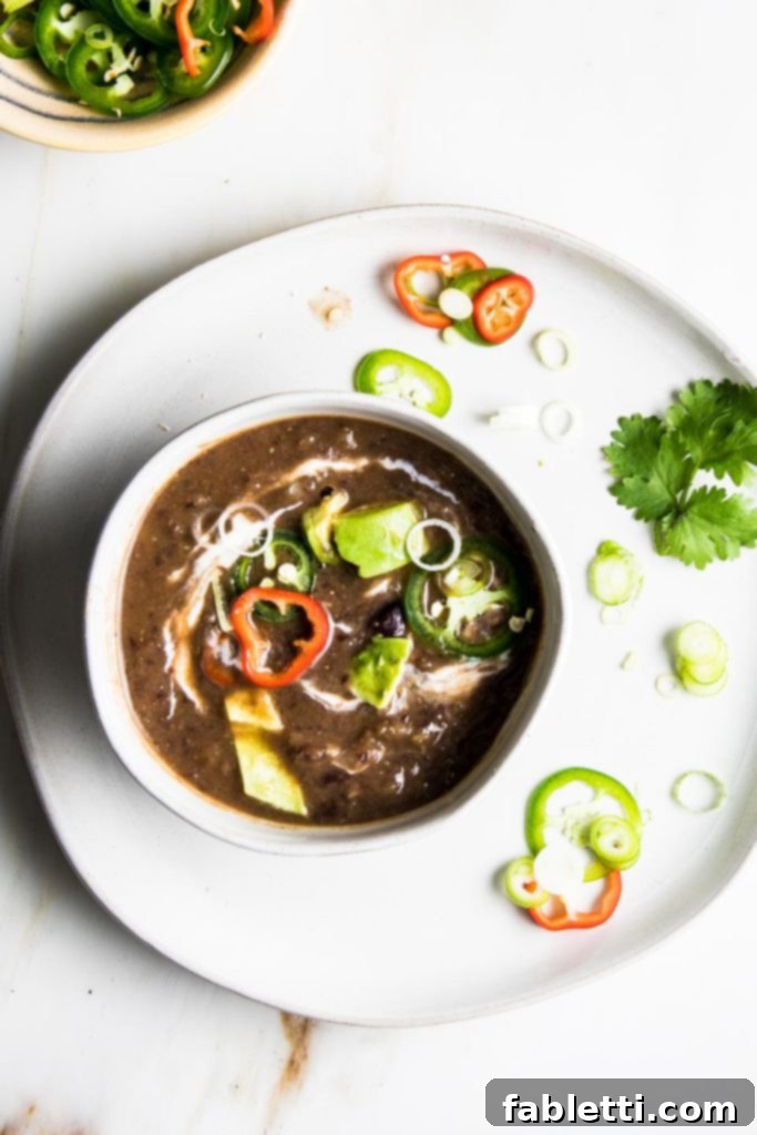No-Fuss Black Bean Soup 12 A rustic bowl of black bean soup, artfully swirled with creamy vegan yogurt and garnished with fresh cilantro, ready to be enjoyed.