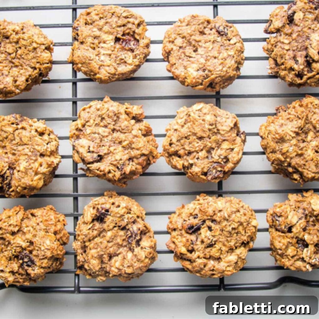 Speedy 15-Minute Oatmeal Raisin Delights 2 Oatmeal Raisin cookies cooling on a wire rack, showcasing their golden-brown edges and soft texture.