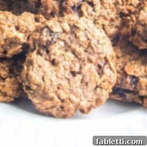 Speedy 15-Minute Oatmeal Raisin Delights 11 Close up of an oatmeal raisin cookie