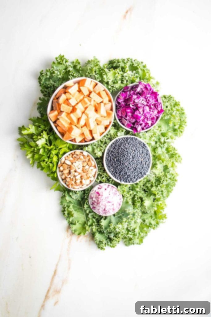 Vibrant Vegan Lentil Medley 3 Vegan lentil salad ingredients displayed in white bowls on a bed of bright green kale. Featured are black lentils, chopped almonds, cubed orange sweet potatoes, bright purple cabbage, and minced purple onions.