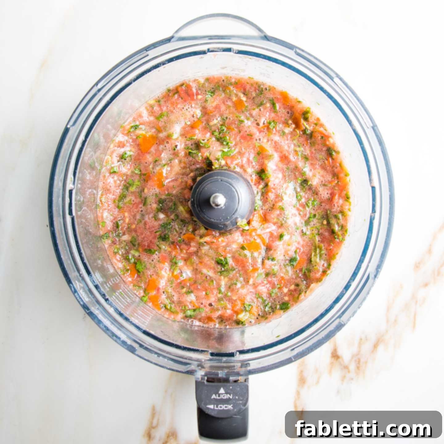 Vibrant Chunky Tomato Salsa 5 Food processor blending ingredients for salsa.