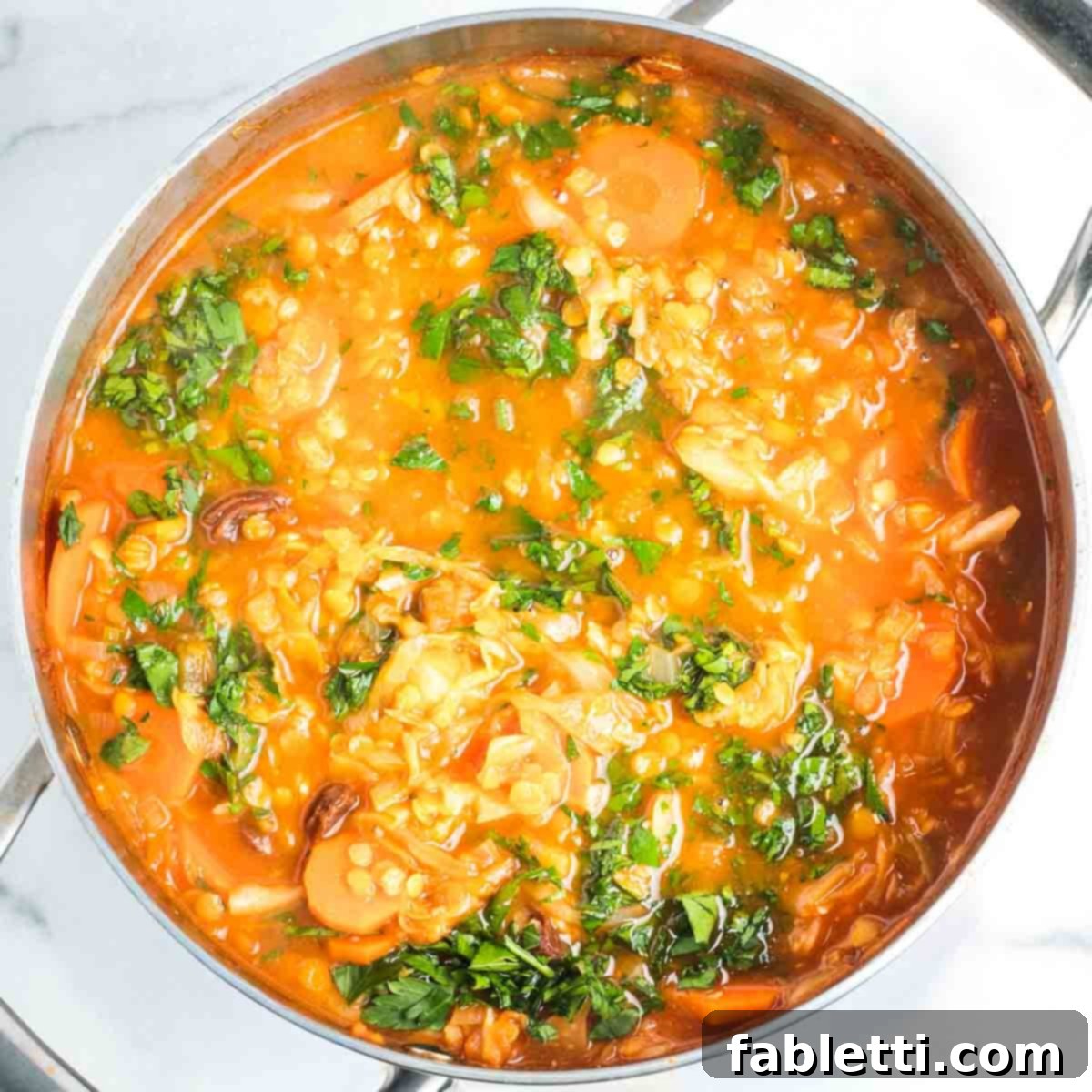 Tangy Vegan Cabbage Soup 14 A close-up of the finished sweet and sour vegan cabbage soup with raisins and fresh parsley.