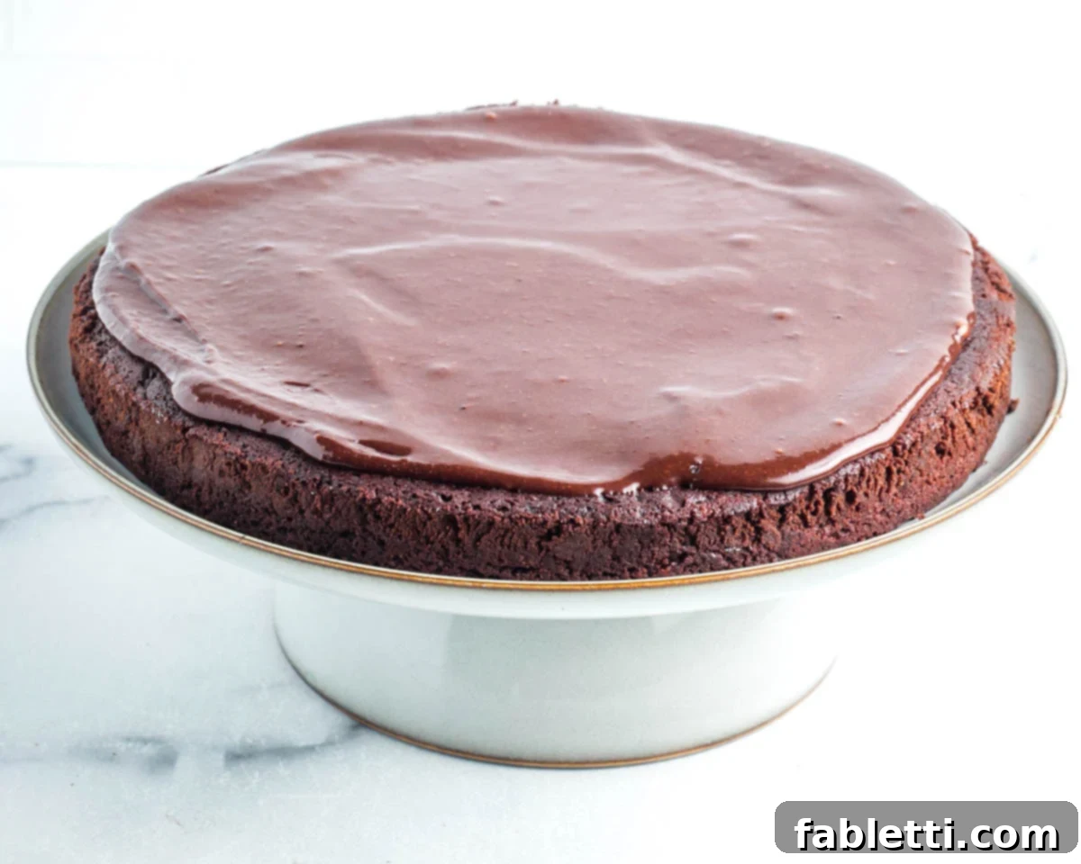 Close-up of a chocolate cake covered in luscious vegan chocolate frosting, showcasing its smooth, even application.